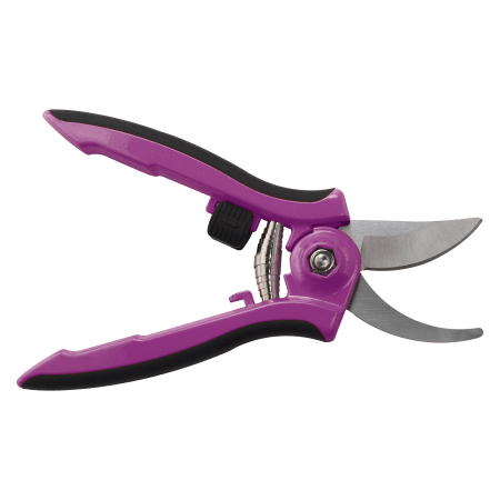 Dramm Berry ColorPoint Bypass Pruner