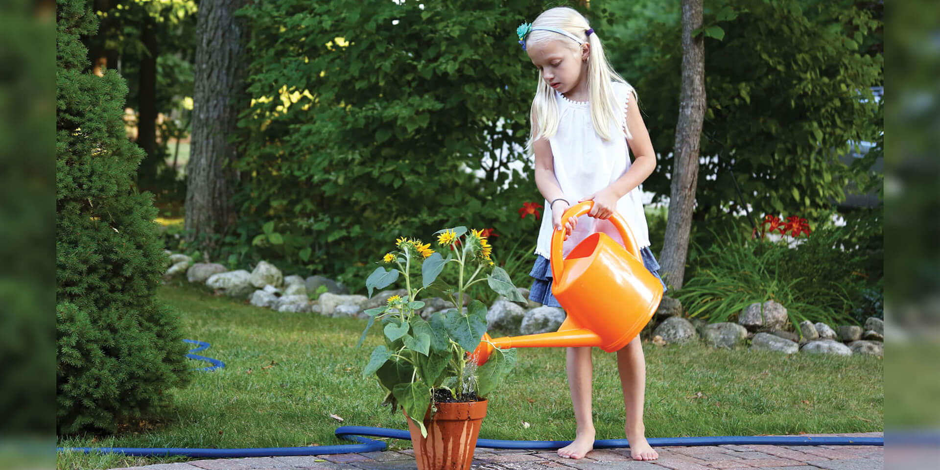 Dramm Lifetime Watering Can